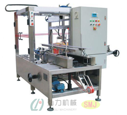 全自動(dòng)裝箱機(jī)